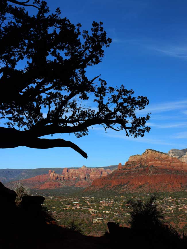 View, Sedona landscape, Cathedral Rock, Templeton Hiking Trail, Arizona, Cathedral Rock Hiking Trail