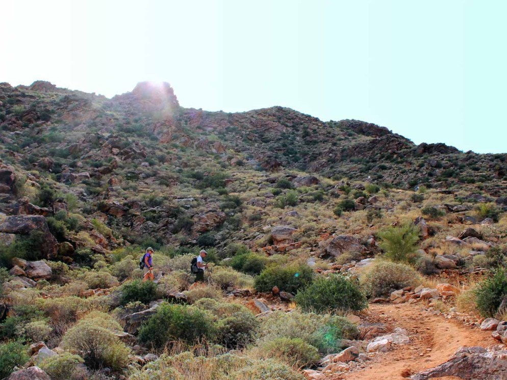 Hiker, Trail, Hill, Desert, White Tank Mountains, Brush, Scrub, Phoenix, Wadell, Mesquite Canyon Hiking Trail