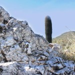 Arizona, Cave Creek, Quartz Hiking Trail, Quartz Outcropping, Saguaro, Dessert , Landscape, Family Hikes, Arizona's Best Family Hikes