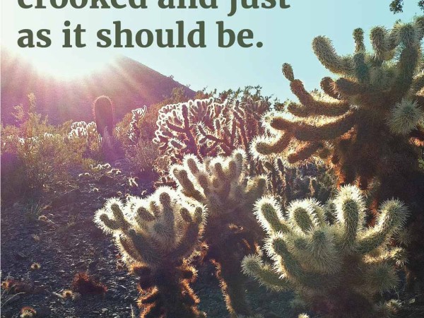 Hiking Inspiration, Poster, Landscape, Dessert, Cholla, Your Path is Beautiful