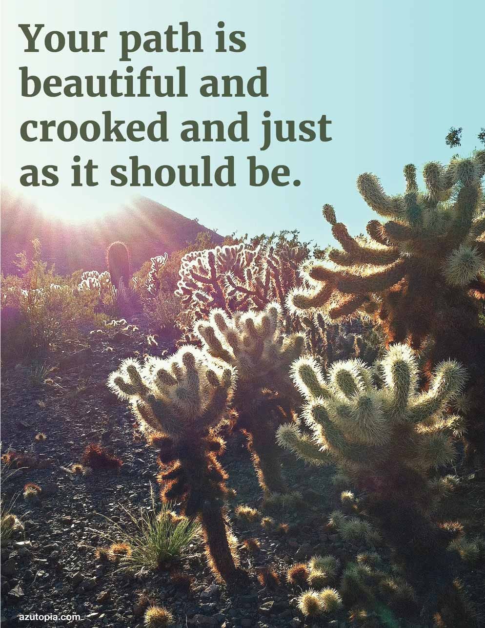 Hiking Inspiration, Poster, Landscape, Dessert, Cholla, Your Path is Beautiful