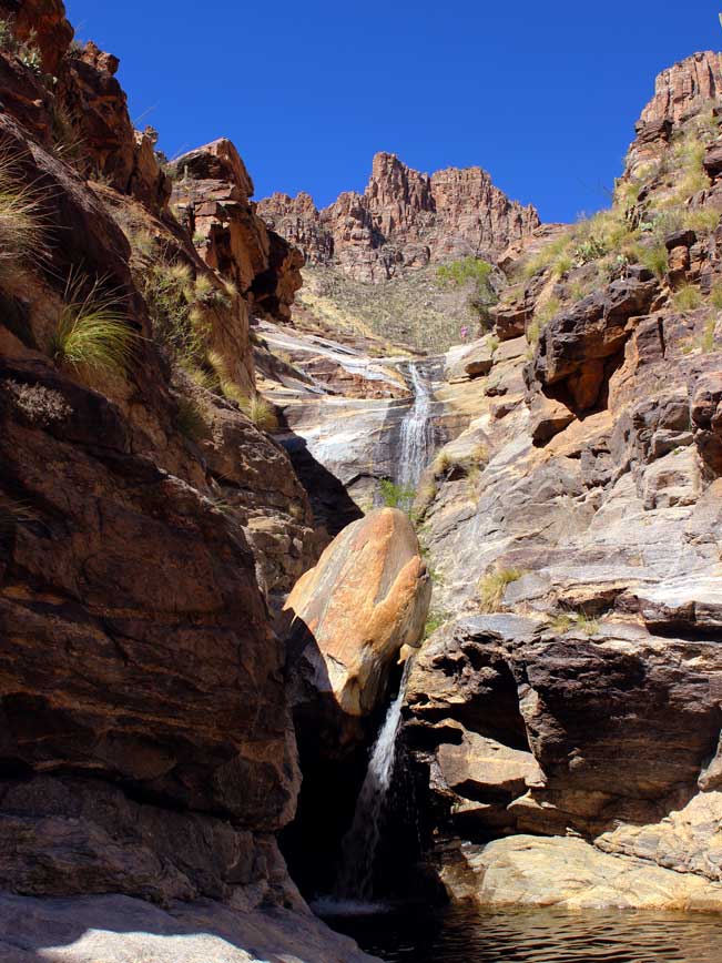 Close-up, Tucson, Arizona, Sabino Canyon, Seven Falls, Bear Canyon Hiking Trail 