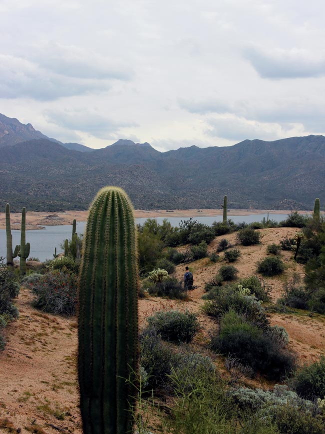 Landscape, Lake, Hiking, Central Arizona, Bartlett Lake, Palo Verde Hiking Trail