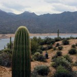 Landscape, Lake, Hiking, Central Arizona, Bartlett Lake, Palo Verde Hiking Trail, Water Hikes, Best Summer Hikes Arizona, Arizona Hiking Trails with Water