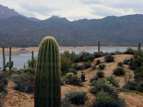 Landscape, Lake, Hiking, Central Arizona, Bartlett Lake, Palo Verde Hiking Trail