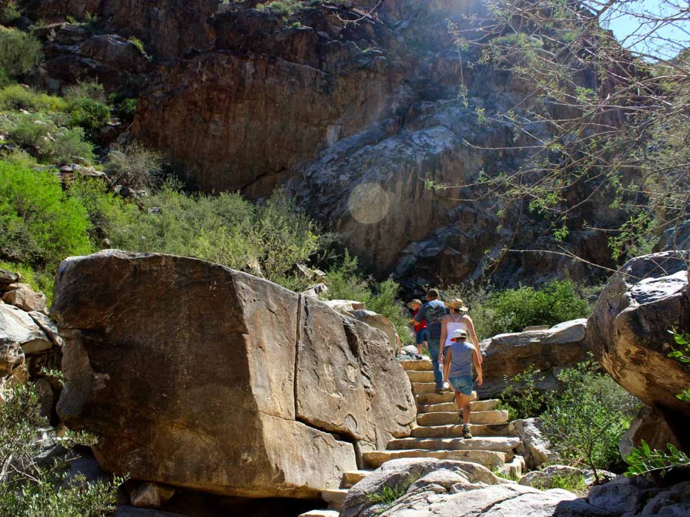 Arizona, Phoenix, Wadell, White Tank Mountains, Hiking, Family, Steps, Canyon, Waterfall Hiking Trail