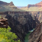 Ledge, Overlook, Colorado River, Cliffs, Plateau Point Trail, Arizona, Grand Canyon, Hiking Grand Canyon, South Rim Day Hikes