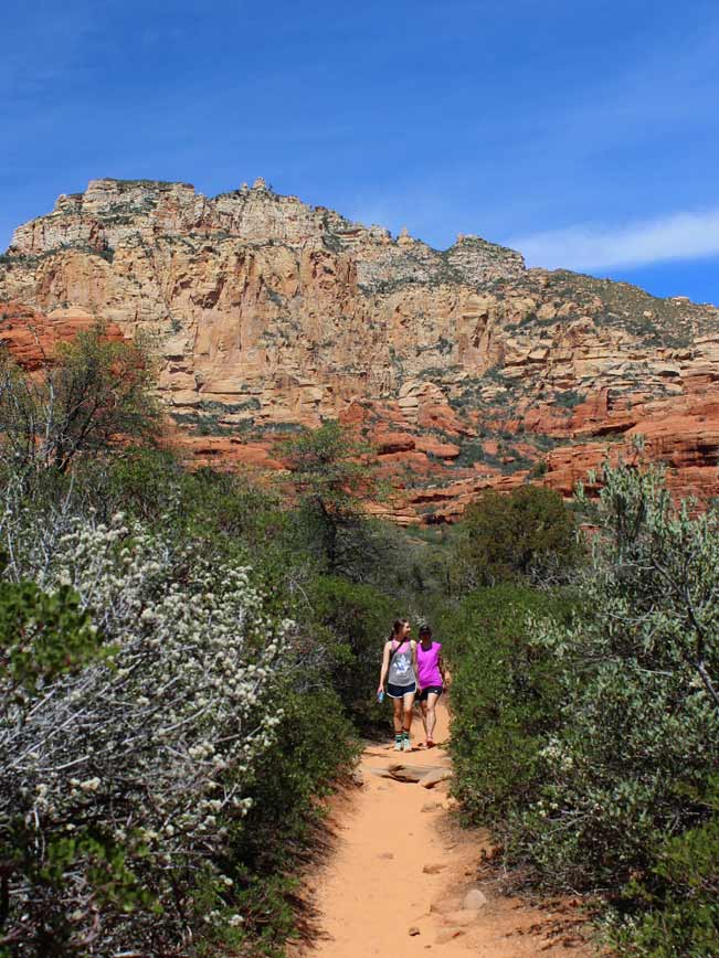 Hikers, Sedona, Arizona, Boynton Canyon Hiking Trail, Manzanita Bushes, Canyon