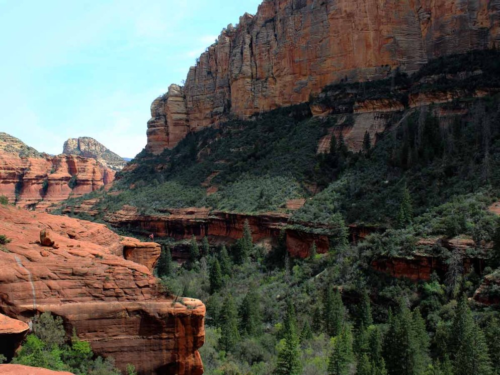 Lansdcape, Hiker, Ledge, Sedona, Arizona, Boynton Canyon, Pine Trees, Canyons, Boynton Canyon Hiking Trail