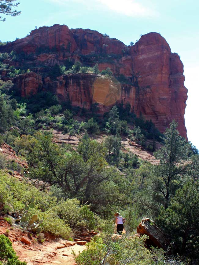 Lansdcape, Hiker, Sedona, Arizona, Boynton Canyon Trail, Canyon Wall, Pine Trees, Boynton Canyon Hiking Trail