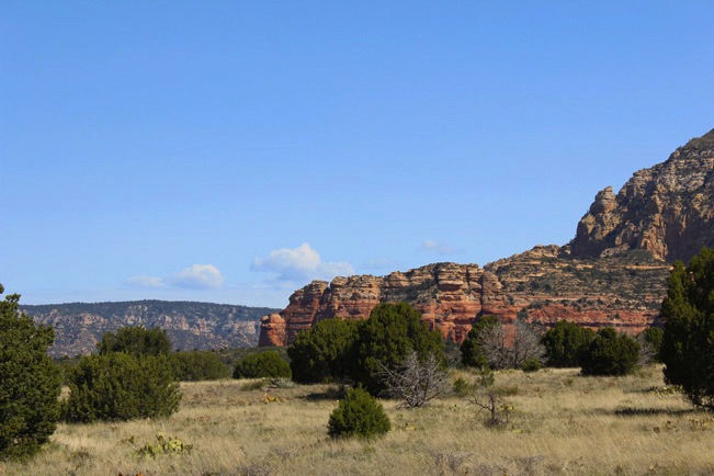 Landscape, View, Sedona, Arizona, Brins Mesa Hiking Trail, Pines, Canyons