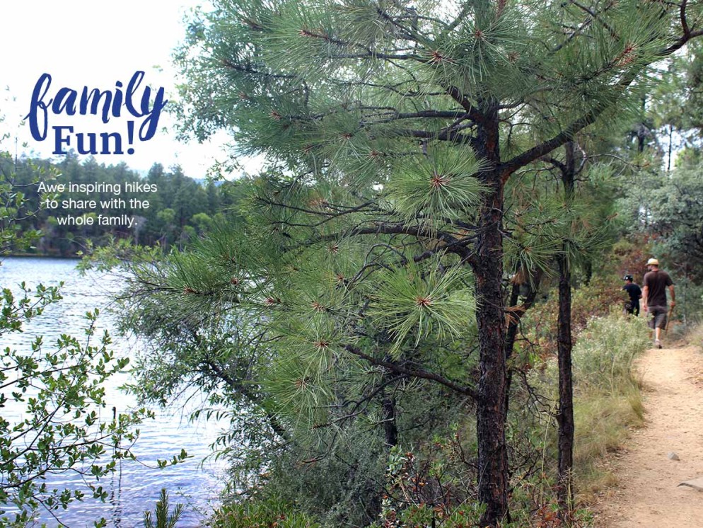 Landscape, View, Family, Father, Son, Hikers, Lynx Lake Hiking Trail, Prescott, Arizona