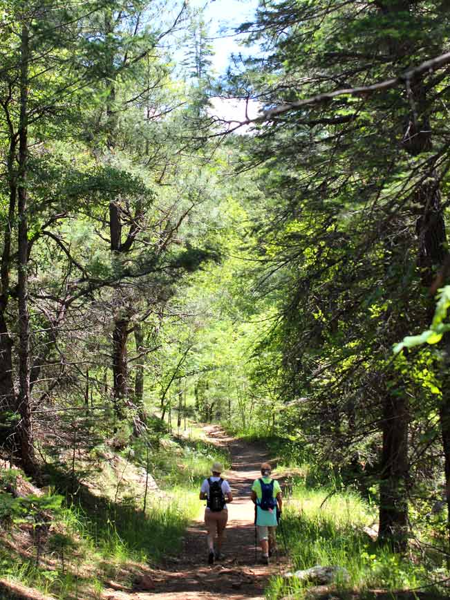 Hikers, Shade, Trees, Payon, Arizona, Horton Creek Trail