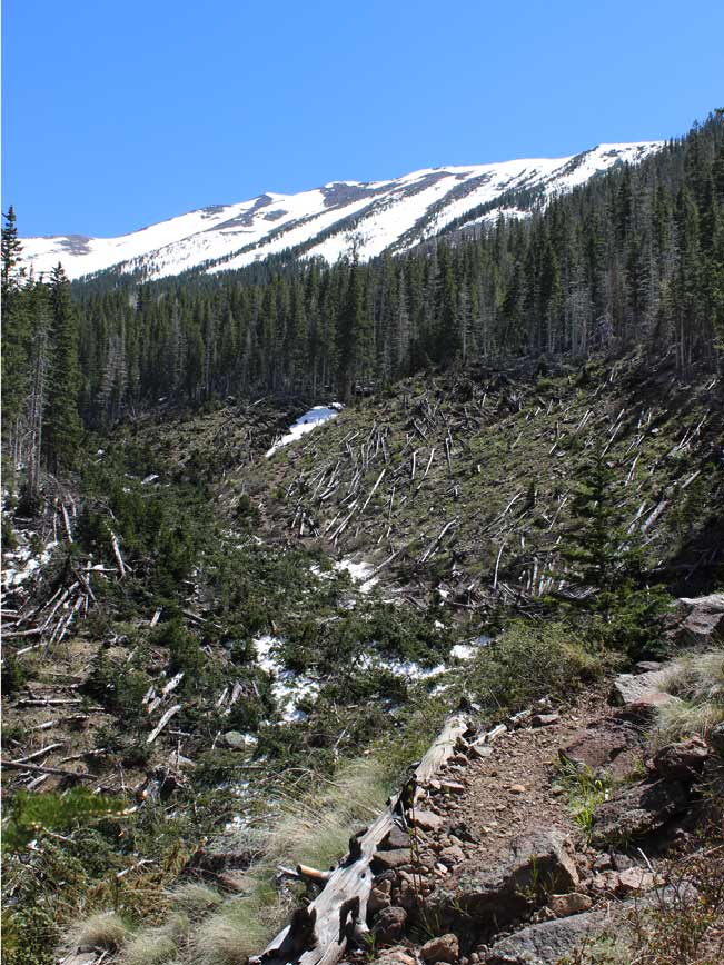 Landscape, Flagstaff, Arizona, Abineau Trail, Bear Jaw and Abineau Hiking Trail Loop, Ravine, Snow-Capped Peak, Mount Humphreys 