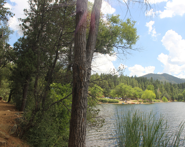 Landscape, View, People, kayaks, Prescott, Arizona, Lynx Lake, Marina, Lynx Lake Recreation Hiking Trail