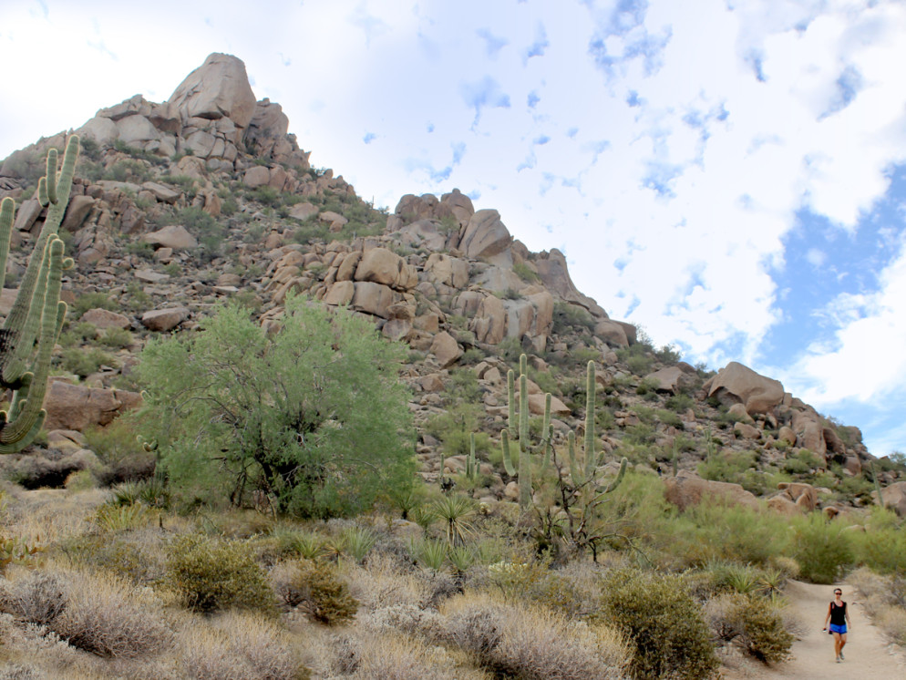 Landscape, View, hiker, Scottsdale, Arizona, Pinnacle Peak Mountain, Pinnacle Peak Hiking Trail