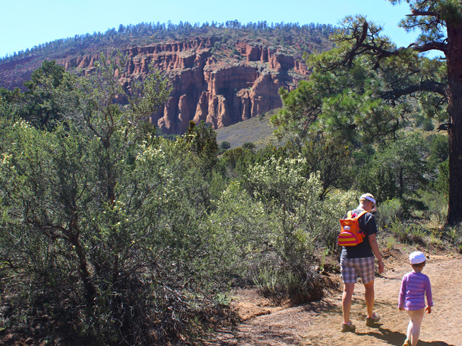 Landscape, Family, Hikers, Flagstaff, Arizona, Red Mountain Hiking Trail, Red Rock Mountain