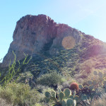 Landscape, View, Cliff, Phoenix, Arizona, Elephant Mountain, Elephant Mountain Hiking Trail Loop, Spur Cross Ranch Conservation Area, Ocotillo, Prickly Pear, Phoenix Area Hiking Trails, Arizona Hiking Trails Phoenix