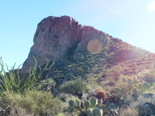 Landscape, View, Cliff, Phoenix, Arizona, Elephant Mountain, Elephant Mountain Hiking Trail Loop, Spur Cross Ranch Conservation Area, Ocotillo, Prickly Pear