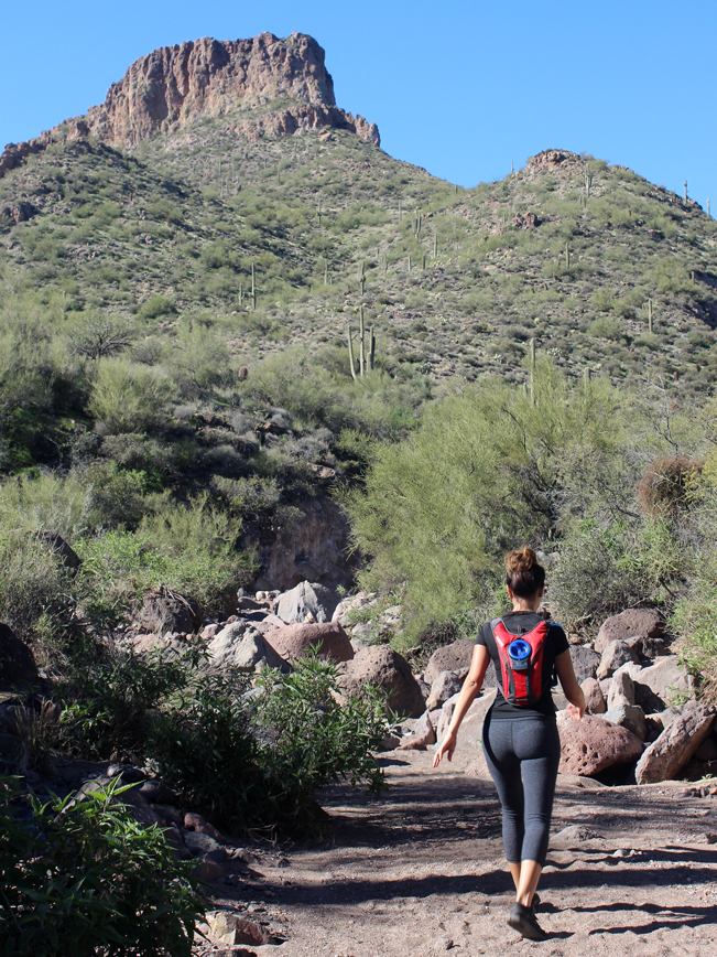 Landscape, View, Cliffs, Woman, Hiker, Arroyo, Cave Creek, Arizona, Elephant Mountain Hiking Trail Loop, Phoenix, Spur Cross Conservation Area