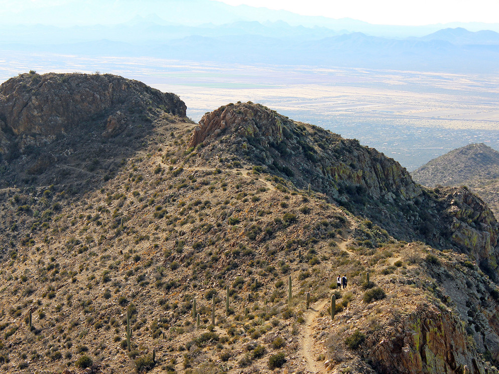Landscape, View, King Canyon Hiking Trail, Tucson, Arizona, Hikers, Ridgeline, Peak, Saguaro National Park, Tucson Mountains, Wasson Peak