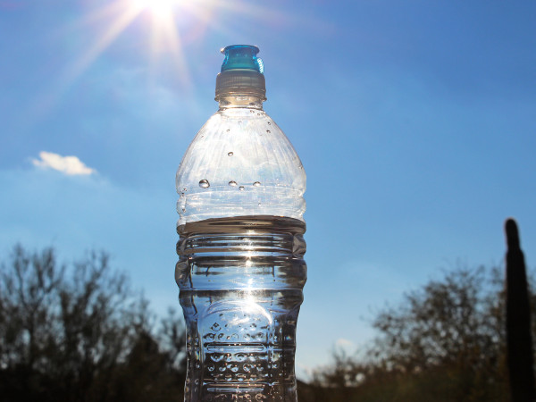 Bottle of Water, sunny, Sky, Arizona, Palo Verdes, Saguaro