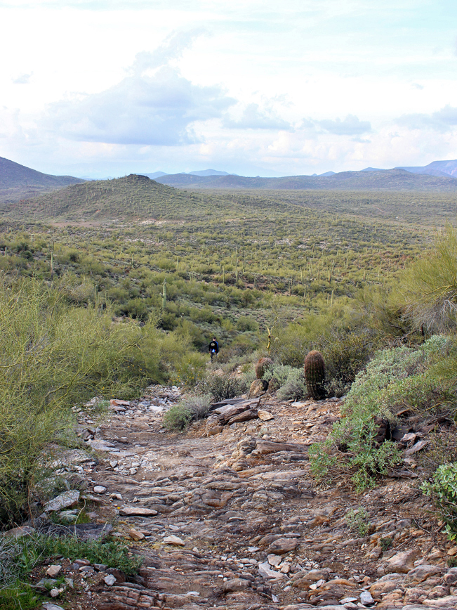 Hiker, Cave Creek, Arizona, Go John Hiking Trail, Cave Creek Regional Park, Saguaros, Mountains