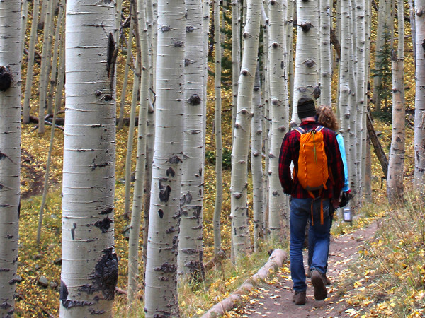 Hikers, Backpack, Flagstaff, ARizona,, Inner Basin Hiking Trail, Aspens. AZ Utopia, What to Take on a HIke