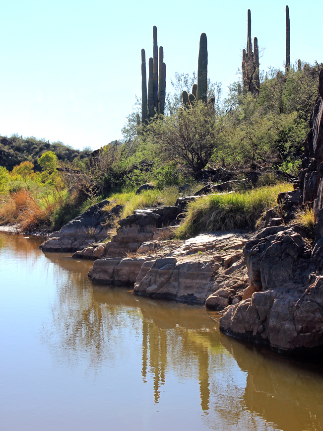 Landscape, View, Boulders, Pond, Jewel of the Creek Hiking Trail, Jewel of the Creek Preserve, Cave Creek, Arizona, Phoenix Area, Family Hikes