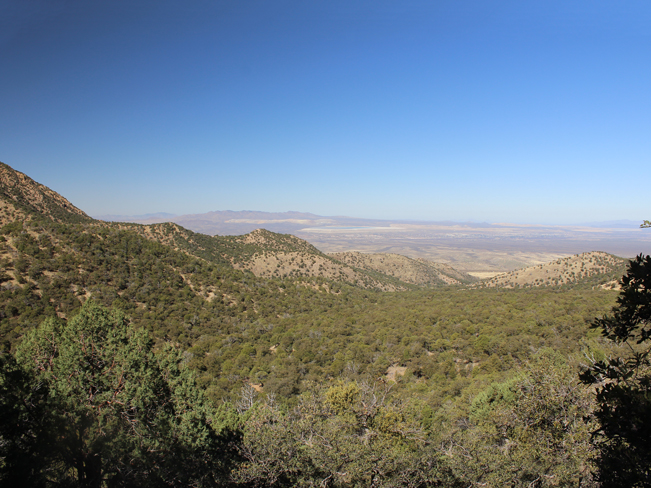 Landscape, View, Plains, Southern, Arizona, Bog & Kent Springs Hiking Trail Loop, Madera Canyon, Santa Rita Mountains, Tucson. Tucson Area