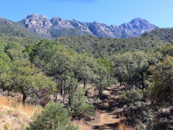 Landscape, View, Madera Canyon, Santa Rita Mountains, Tucson, Arizona, Bog & Kent Springs Hiking Trail Loop. Tucson Area