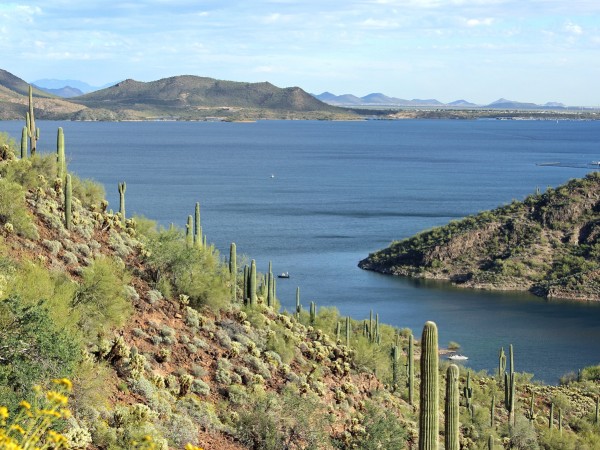 Landscape, View, Lake Pleasant, Phoenix, Arizona, Summit, Yavapai Point Hiking Trail, Phoenix Area Hikes, Moderate Hikes, Pet Friendly Hikes