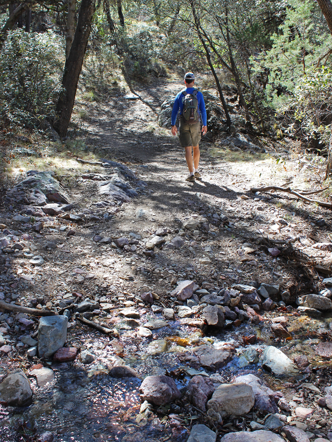 Landscape, View, Hiker, Bog & Kent Springs Hiking Trail Loop, Madera Canyon, Santa Rita Mountains,, Tucson, Arizona, Creek, Brook, Path, Tucson Area