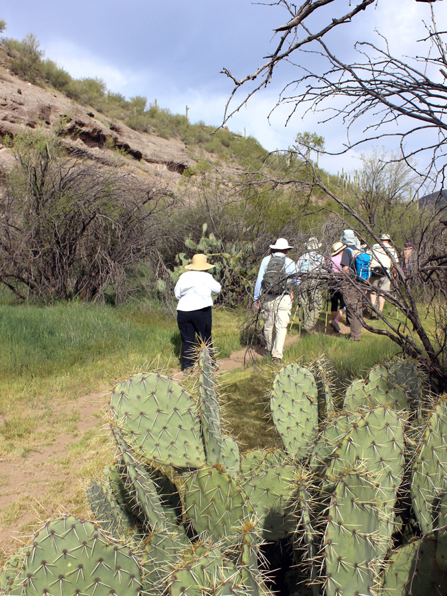Hikers, Cave Creek Cave Tour, Cave Creek, Arizona, Desert Foothills Land Trust, Cliffs, Prickly Pear Cactus, Easy Hikes, Guided Hikes, Family Friendly Hikes