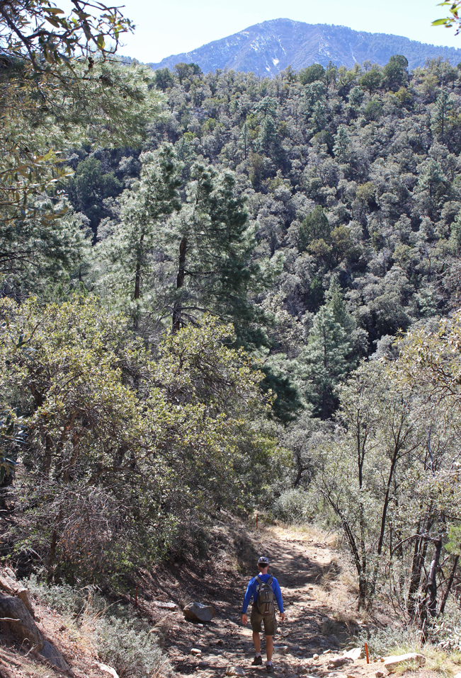 Landscape, View, Hiker, Bog & Kent Springs Hiking Trail Loop, Madera Canyon, Santa Rita Mountains,, Tucson, Arizona, Mount Baldy, Tucson Area