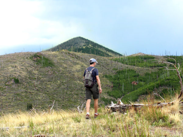 A landscape view of a hiker on the Pumpkin Hiking Trail, outside of Flagstaff, Arizona with Kendrick Peak in the background. Flagstaff area hiking trails. Moderate Arizona Hiking trails. Copyright azutopia. No use without permission.