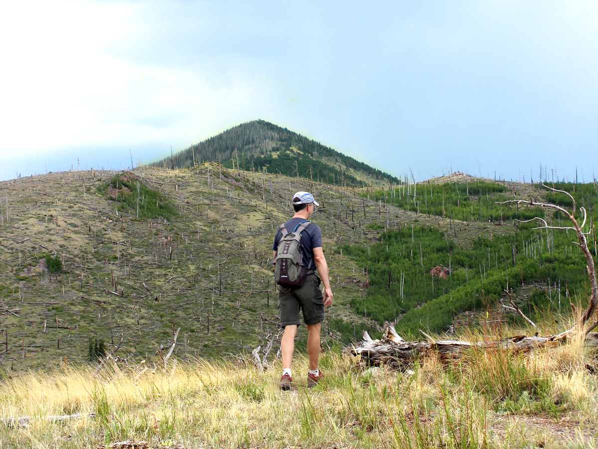 Pumpkin Hiking Trail: Gorgeous back-door to Kendrick Peak