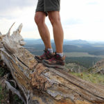 A landscape view of a hiker, standing on top of a fallen tree trunk on the Pumpkin Hiking Trail, with long views of the Flagstaff area peaks in the background. Moderate Arizona hiking trails. Flagstaff area hiking trails. Copyright azutopia. No use without permission.