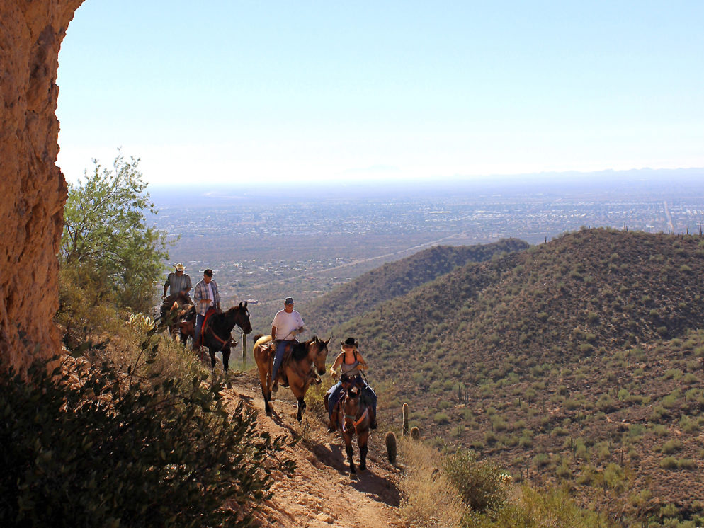 A landscape view of horseback riders on the Pass Hiking Trail, in Usery Park with the mountains and Mesa, Arizona in the background. Phoenix area hiking trails. Moderate hiking trails. Copyright azutopia.com. No use without permission.