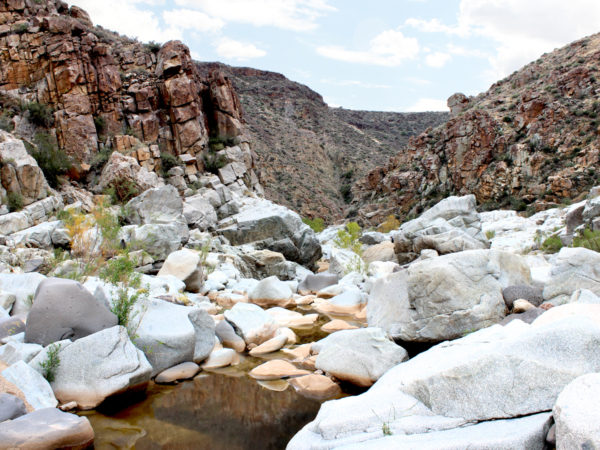 A landscape view of the Aqua Fria River, in Aqua Fria National Monument, off the Badger Springs Hiking Trail, near Bumblebee, Arizona. Phoenix area hiking trails. Easy Arizona Hiking trails. Family friendly hiking trails. Dog friendly hiking trails. Copyright azutopia.com. No use without permission.