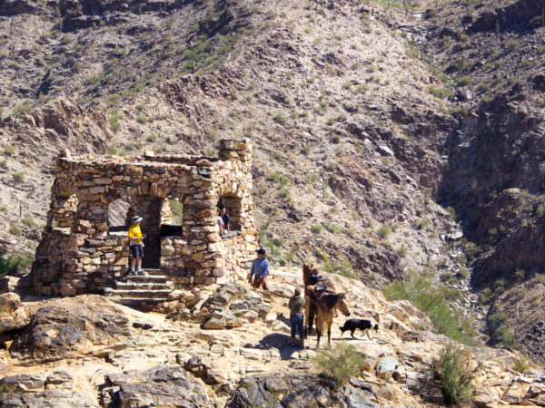 Hikers; Dog; Horses; View; Valley; Kiwanis Hiking Trail; National Hiking Trail; Telegraph Pass Lookout; Mountains; Phoenix Area Hikes; Easy Hikes; Dog Friendly Hikes; Central Arizona Hikes; South Mountain Regional Park; Copyright azutopia.com. No use without written permission.