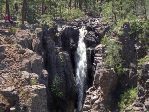 Sycamore Rim Loop Trail; Hiking Trail; Northern Arizona Hiking Trail; Williams; Arizona; Sycamore Fall; Sycamore Canyon; Hikers; Creek; Waterfall; Pine Trees; Rim Trail; Easy Hiking Trails; Pet Friendly Hiking Trails; Family Friendly Hiking Trails; Copyright azutopia.com. No use without permission.