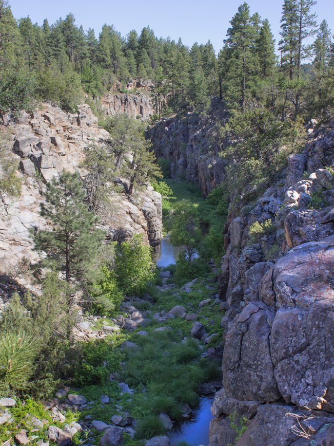 Sycamore Rim Loop Trail; Hiking Trail; Northern Arizona Hiking Trail; Williams; Arizona; Canyon View; Creek; Cliffs; Marsh; Easy Hiking Trails; Pet Friendly Hiking Trails; Family Friendly Hiking Trails; Copyright azutopia.com. No use without permission.