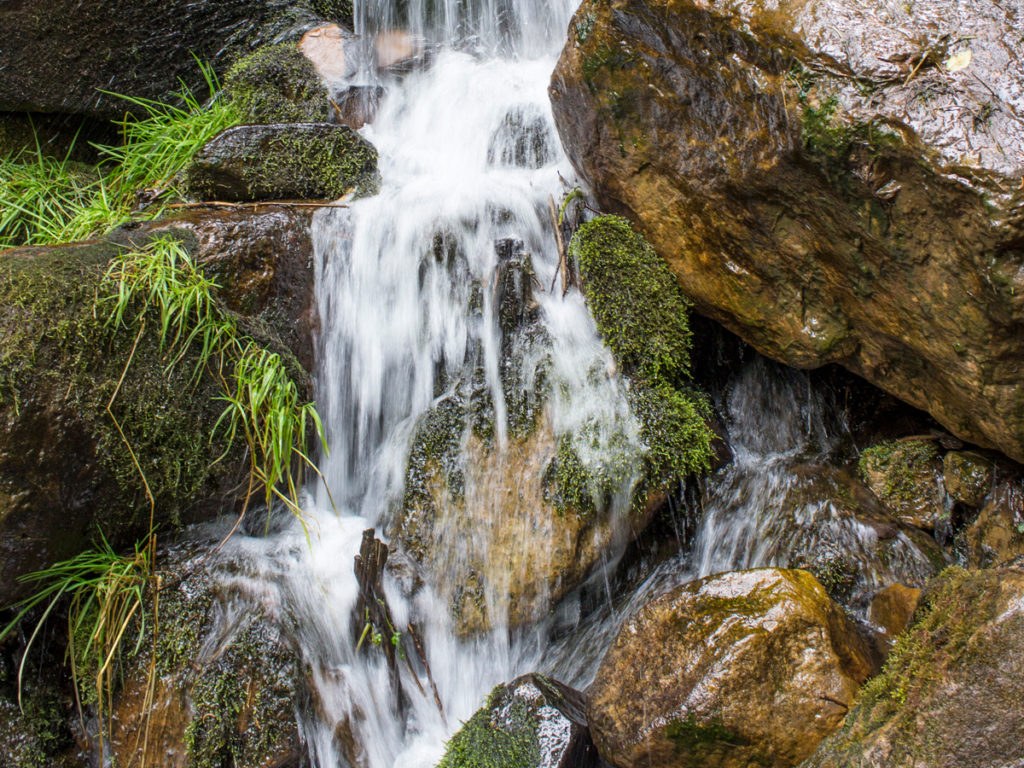 See Spring Trail: Payson, AZ's family-friendly hike to creek & springs