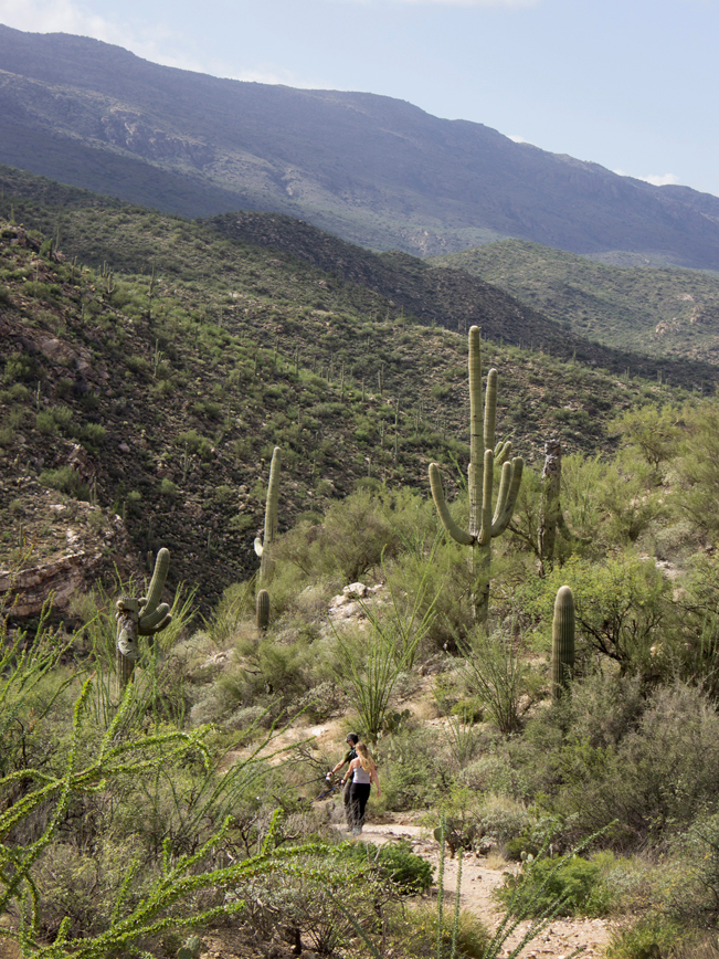 Hikers; Tanque Verde Hiking Trail; Tucson; Arizona; Rincon Mountains; Canyon Top; Saquaros; Mountains; Sky; Copyright azutopia.com; no use without permission.