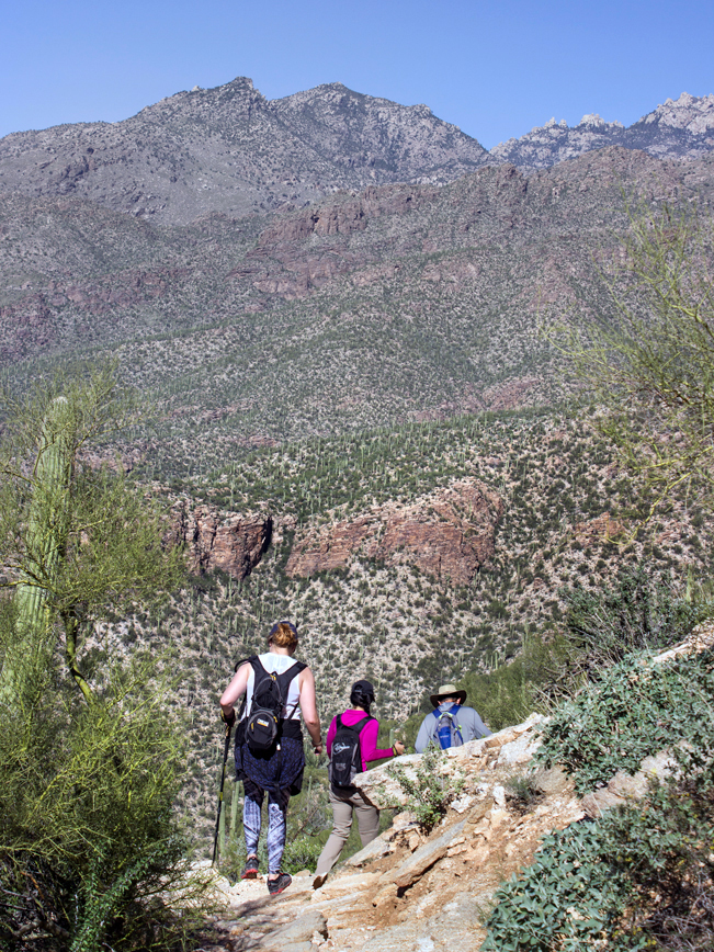 Hikers; Steep Rocky Trail; Mountain Views; Saguaros; Blacketts Ridge Hiking Trail; Sabino Canyon; Santa Catalina Mountains; Tucson; Arizona; Difficult Hiking Trails; Tucson Area Hiking Trails; Copyright azutopia.com; No use without permission.