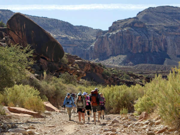 Grup of Hikers with Backpacks; Haulapai Canyon; Boulders; Arroyo; Cliffs; Trees; Canyon; Havasu; Arizona; Grand Canyon. Copyright azutopia.com. No use without permission.