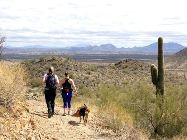 Hikers with their dog; Views of Blue Skies and McDowell Mountains in distance; Desert; Dixie Mountain Hiking Trail; Sonoran Desert Preserve; Phoenix; Arizona; Saquaros; Moderate Hiking Trails; Family Friendly Hiking Trails; Copyright azutopia.comNo use without permission.
