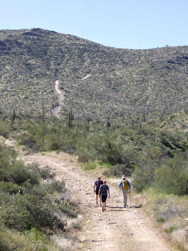 View of hikers approaching steep portion of Thompson Peak Road; Thompson Peak Hiking Trail: McDowell Mountains; Road and mountains in foreground. Phoenix Area Hikes; Difficult Hikes; Fountain Hill; Arizona. Copyright azutopia.com. No use without permission.