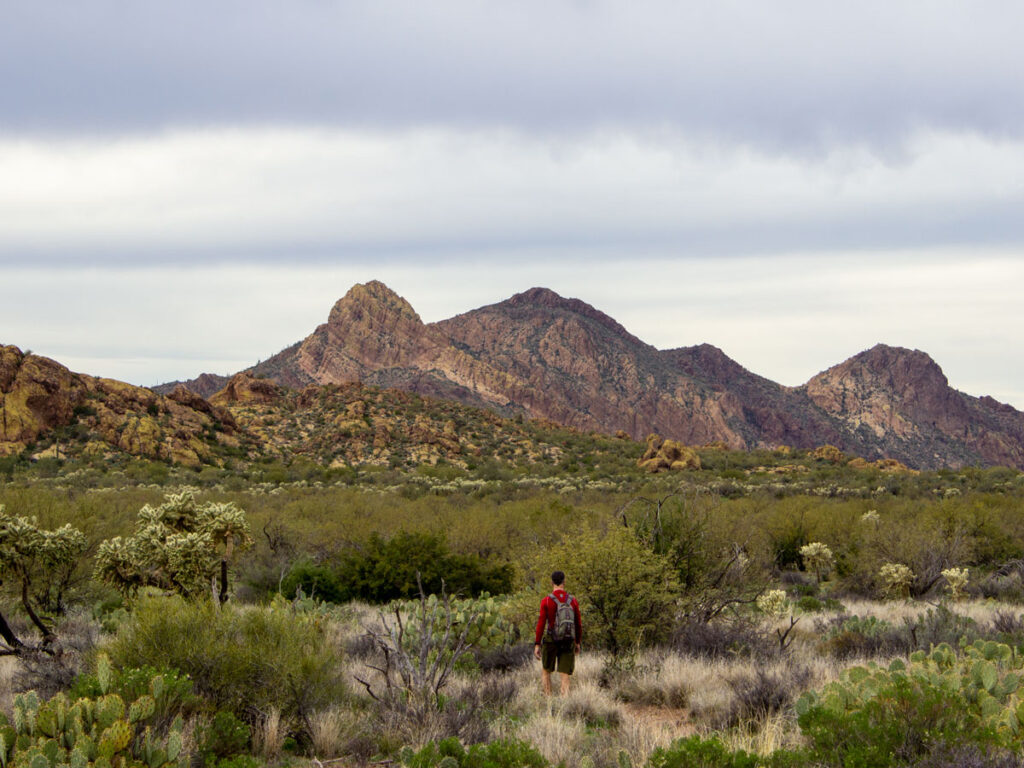 Landscape view, Hiker in grassy expanse, Golfield Mountains in the Background, Palo Verdes, Chollas, Prickley Pear and Scrub in front, Superstition Mountains, Black Mesa Hiking Trail Loop, Grand Enchantment Hiking Trail, Second Water Hiking Trail, Apache Junction, Arizona, Copyright azutopia.com, No use without permission
